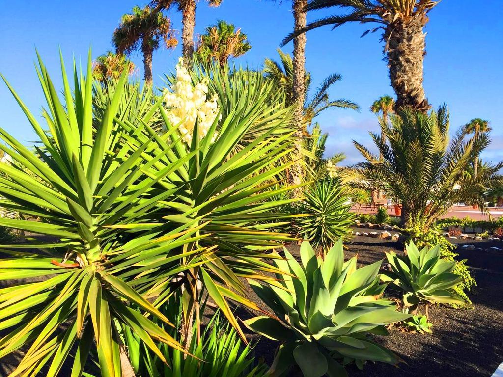 Casita Blanca, Jardin Del Sol 1 Villa Playa Blanca  Kültér fotó